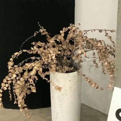 兽设洞穴场景绘制FurryQQ群